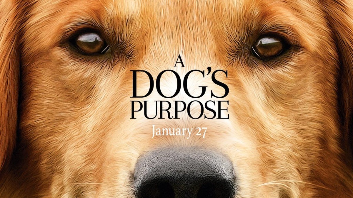 A Dogs Purpose A Dogs Way Home Explores Unconditional Love